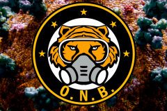 onb